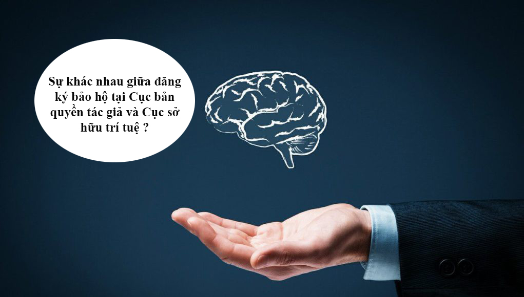 đăng ký bảo hộ tại cục bản quyền tác giả và cục sở hữu trí tuệ